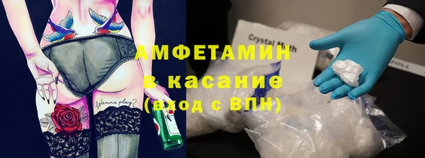 шишки Снежногорск
