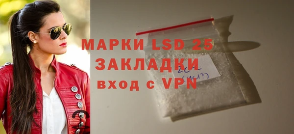 шишки Снежногорск