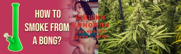 PSILOCYBIN Снежинск